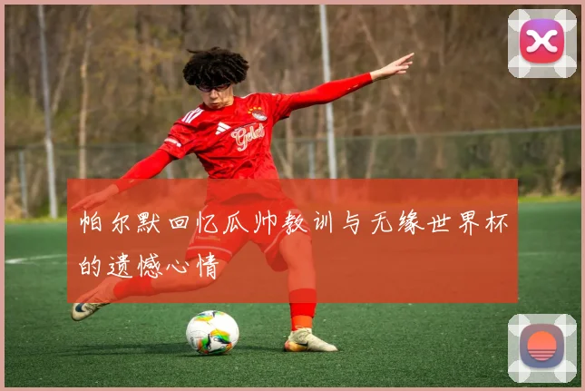 帕尔默回忆瓜帅教训与无缘世界杯的遗憾心情