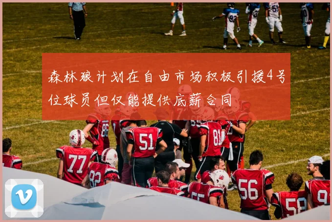 森林狼计划在自由市场积极引援4号位球员但仅能提供底薪合同